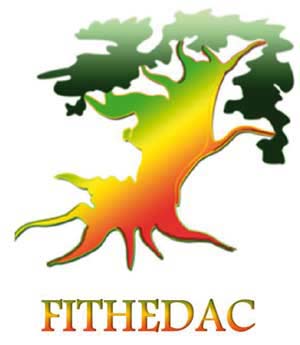 logo-fithedac-1-300